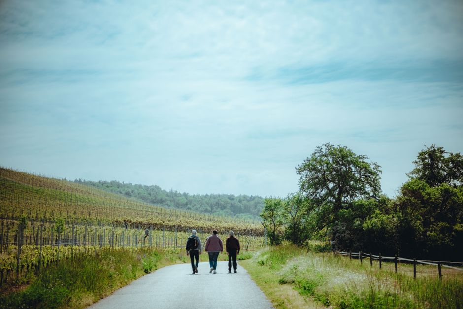 Vineyard Lunch with a scenic detour — travel · Weekend Getaways