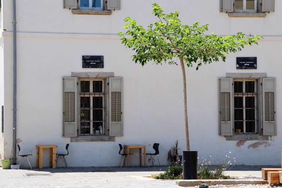 Quiet Café Route with a photo-friendly pause — travel · Solo Travel