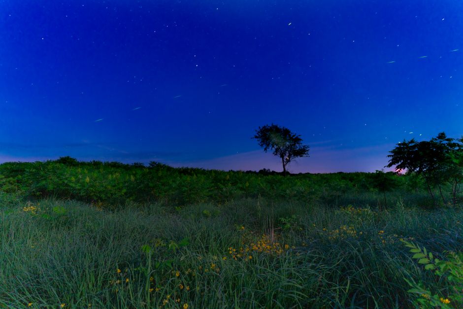 Stargazing Meadow with a golden-hour viewpoint — travel · National Parks