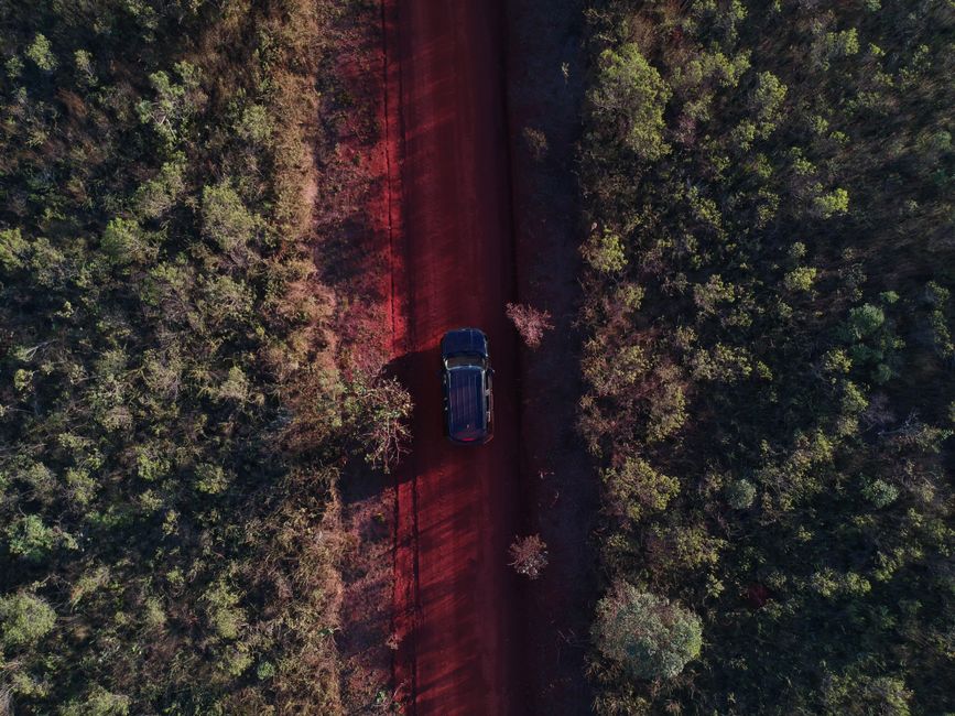 Road-Trip Singalong for a no-screen break — entertainment · Music