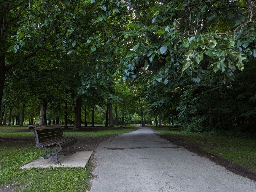 Park Loop for a desk-bound afternoon — wellness · Walking & Outdoor