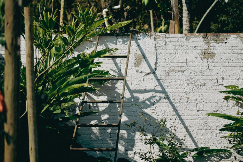 Linen Ladder with one sculptural accent — home · Bathrooms