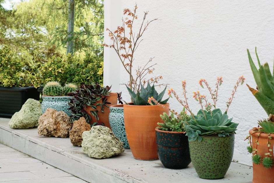 renter-friendly garden & outdoor details that look intentional with a cozy corner detail — home · Garden & Outdoor