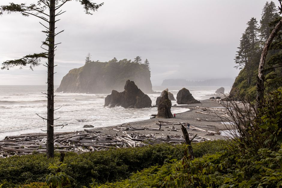 24 Olympic Peninsula Coast ideas for neighborhood exploration