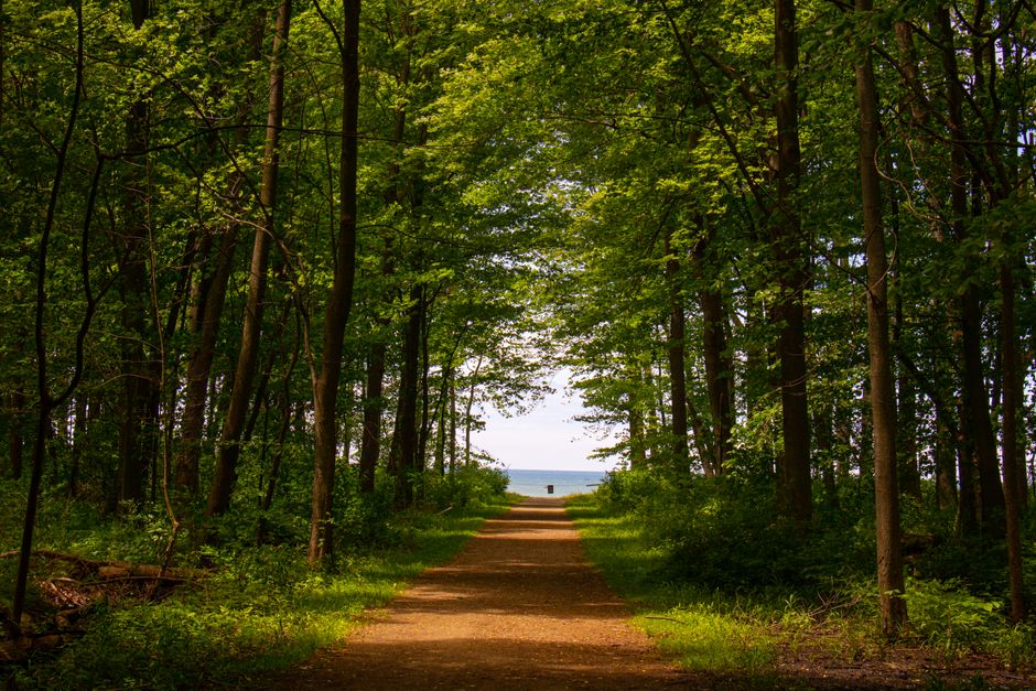 Lake Trail with a quiet neighborhood stop — travel · National Parks