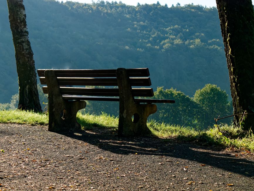 Park Bench Reading Stop with a local-only flavor — travel · Solo Travel