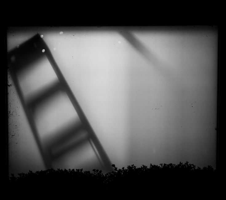 20 Fear Ladder ideas for experimenting with color