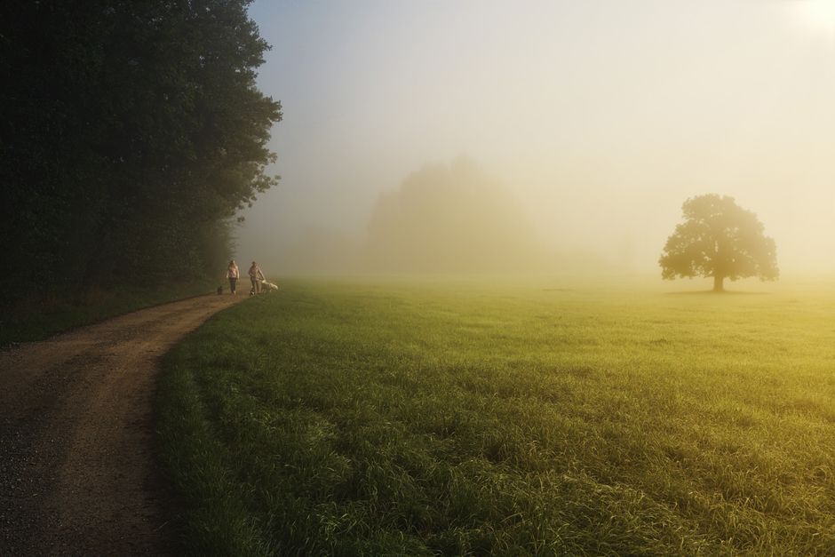 Two-List Morning for tools already use — smart-life · Productivity