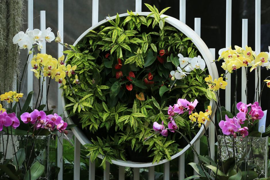 Vertical Planter with a gallery-style arrangement — home · Garden & Outdoor