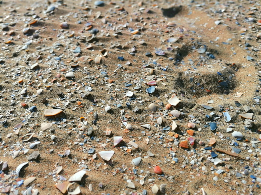 Beach Treasure Walk near a memorable viewpoint — travel · Family Travel