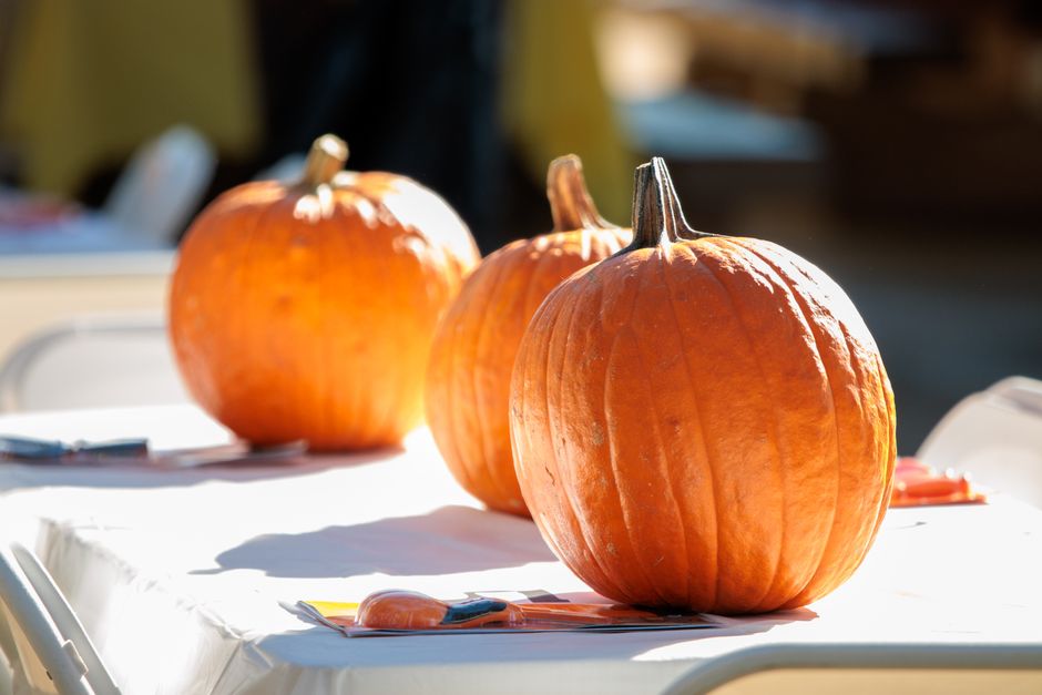 22 Place-Card Pumpkins ideas for getting guests involved