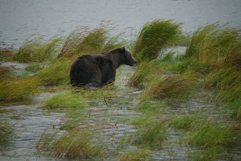 Wildlife Viewing Pullout with a museum break — travel · National Parks
