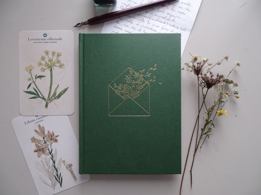Ink Botanical Sketch for blank journal page — diy-creativity · Art & Painting