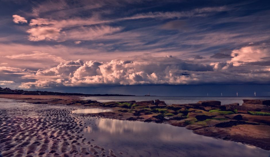 Tide-Pool Morning for a flexible itinerary — travel · Beach Vacations