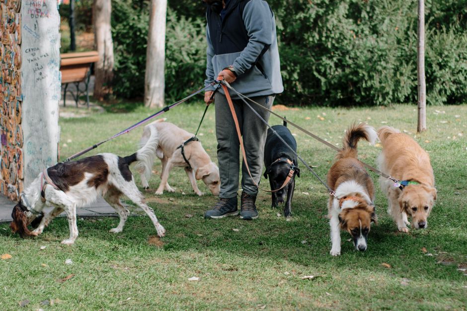 gentle walking & outdoor routines for a more restful night — wellness · Walking & Outdoor