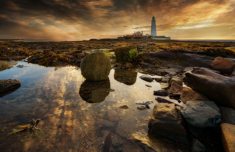 Tide-Pool Morning near a hidden garden — travel · Beach Vacations