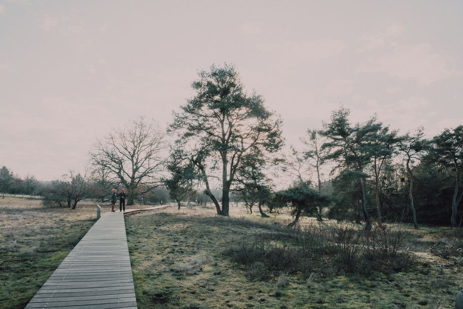 Walk-And-Talk for a no-spend day — lifestyle · Social Life