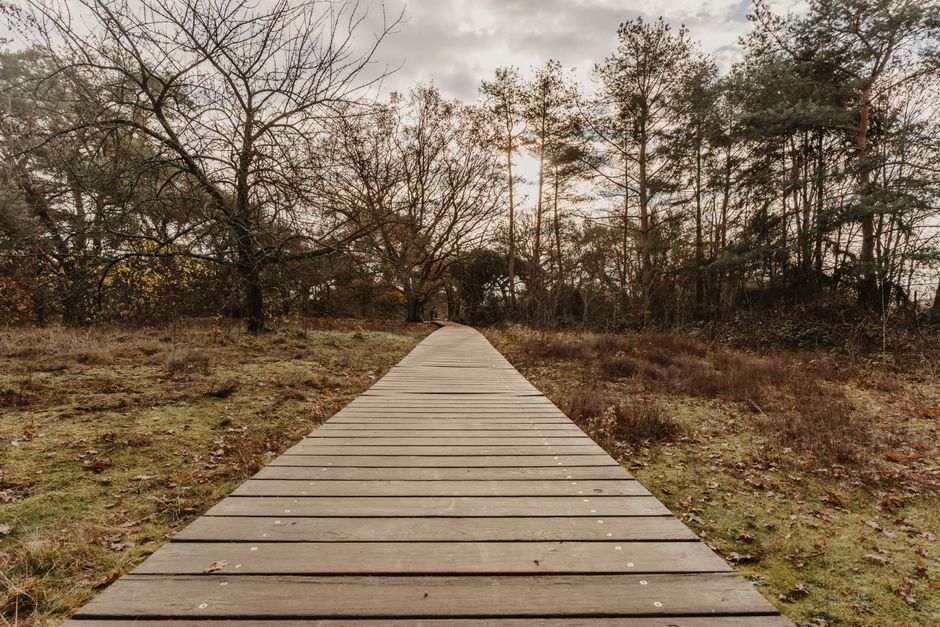 Future-Plans Walk around one new skill — lifestyle · Relationships