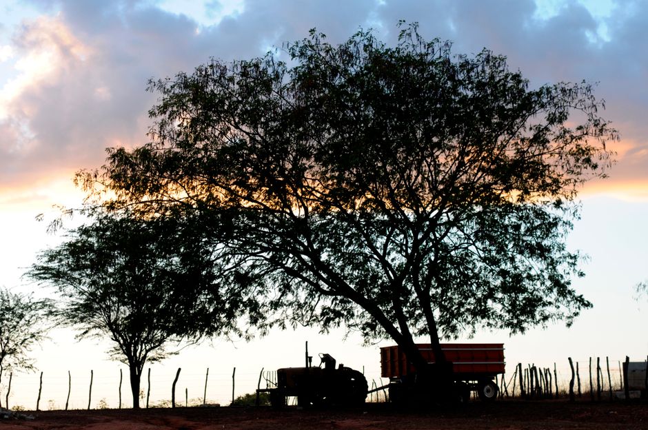 Sunset Pause during a workday lull — wellness · Feel-Good Activities