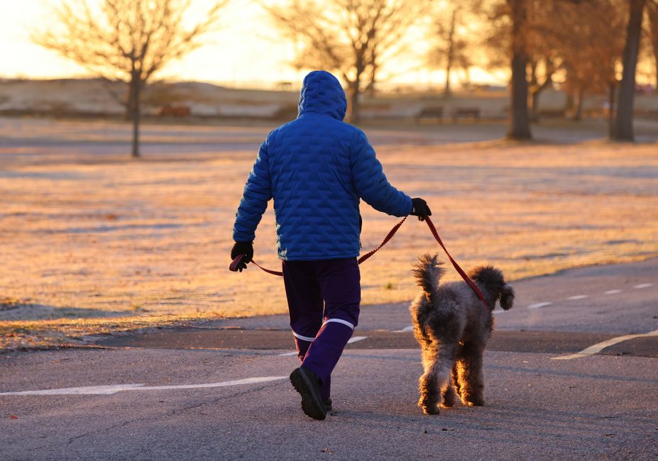 gentle walking & outdoor routines after travel — wellness · Walking & Outdoor