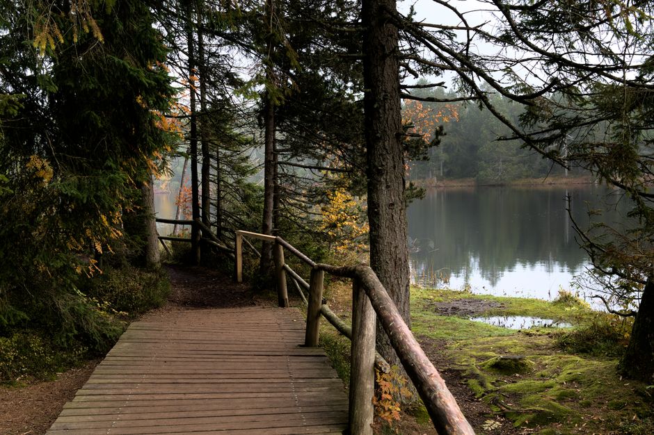 Lake Trail around a farmers market — travel · National Parks