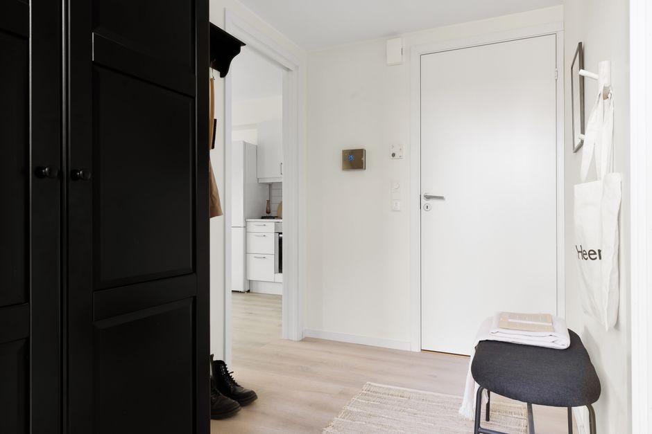 Door-Back Organizer for renters who cannot drill — home · Home Hacks