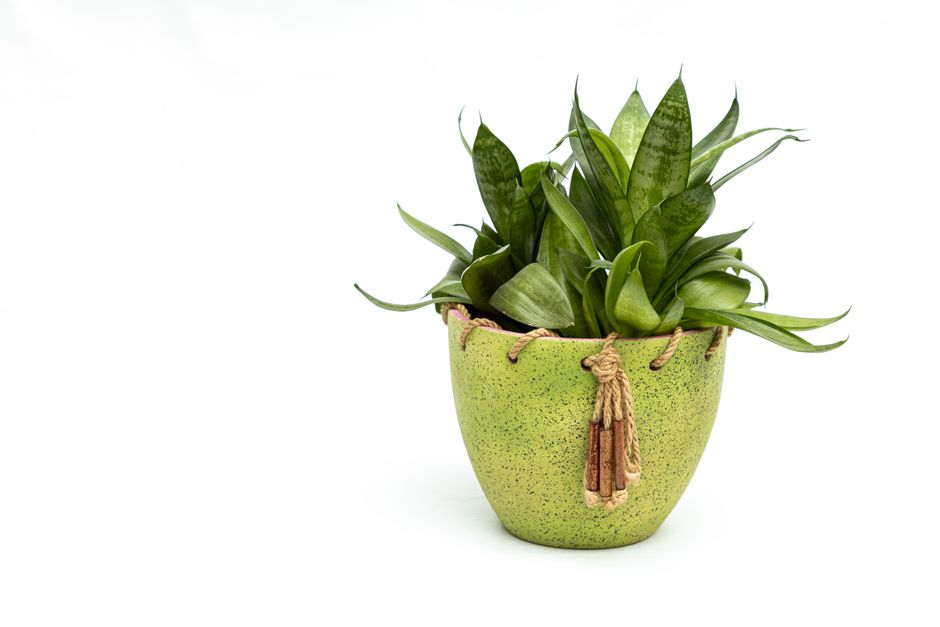 Rope Planter for a one-afternoon project — home · DIY