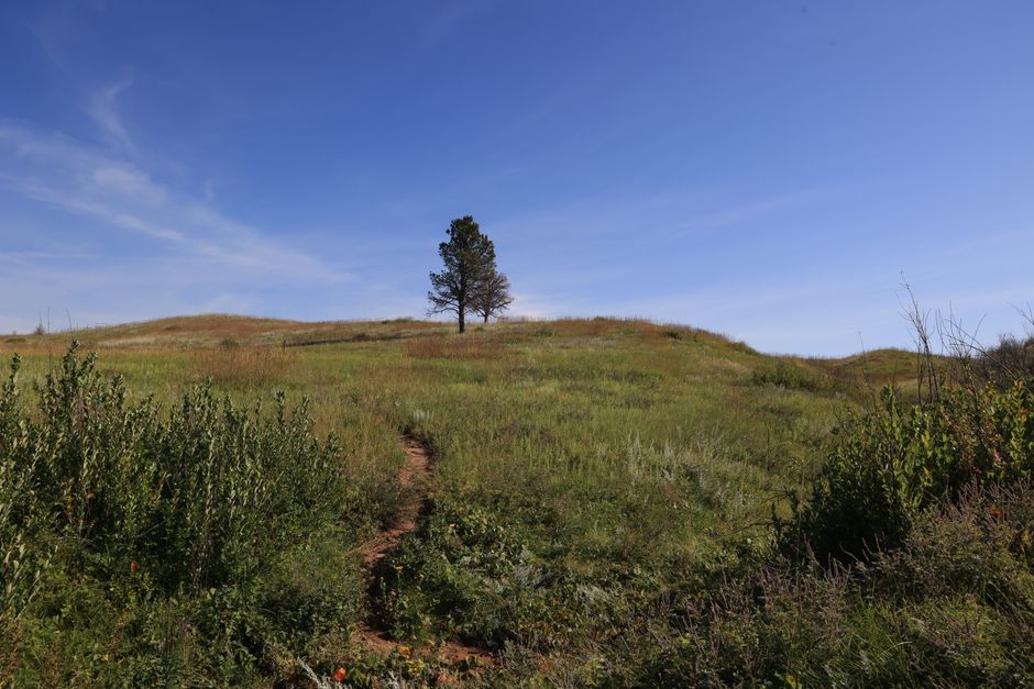 Hilltop Trail for a recovery day — wellness · Walking & Outdoor