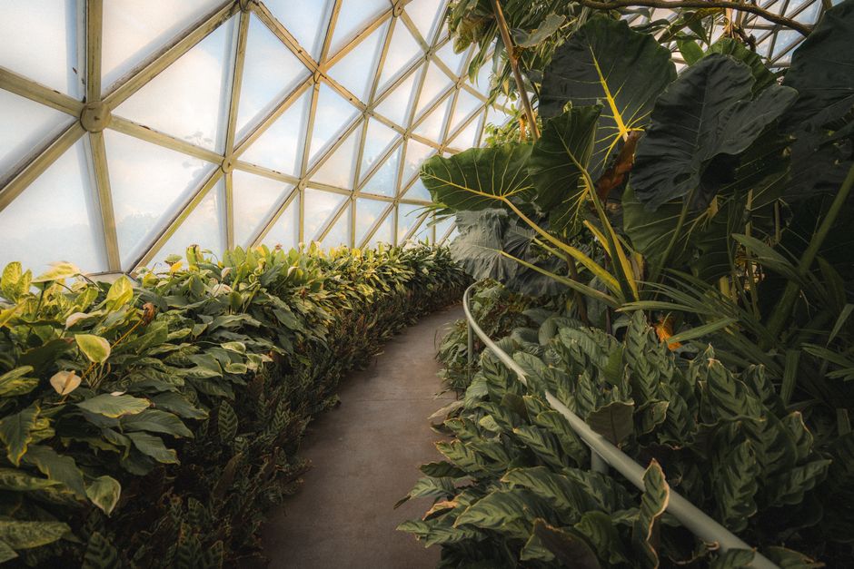 21 Botanical Garden Path ideas