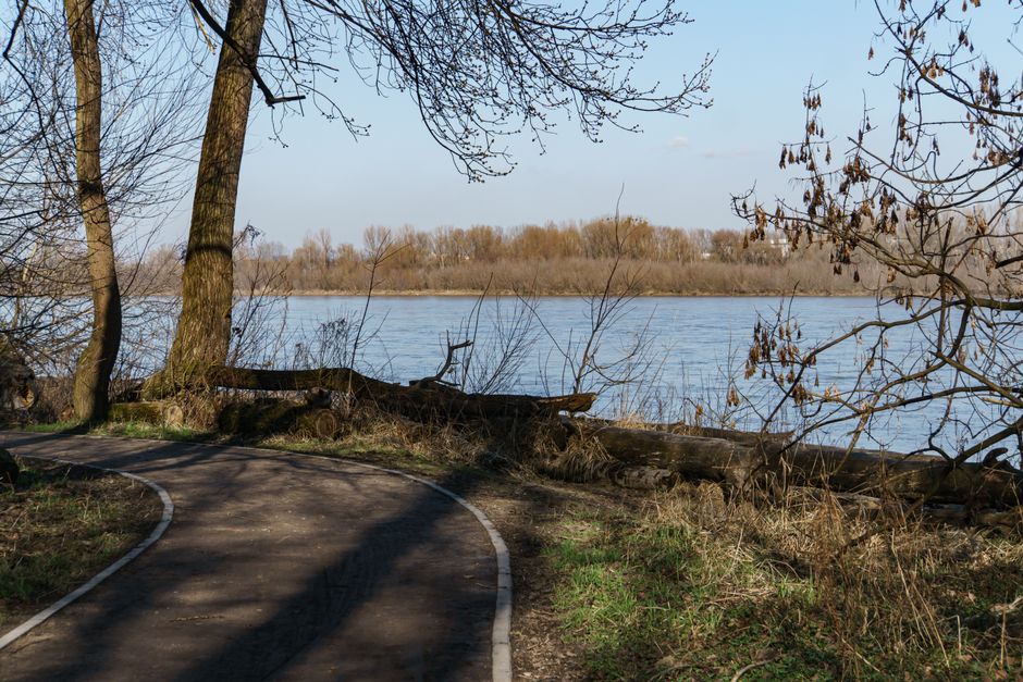 River Path during a morning transition — wellness · Walking & Outdoor