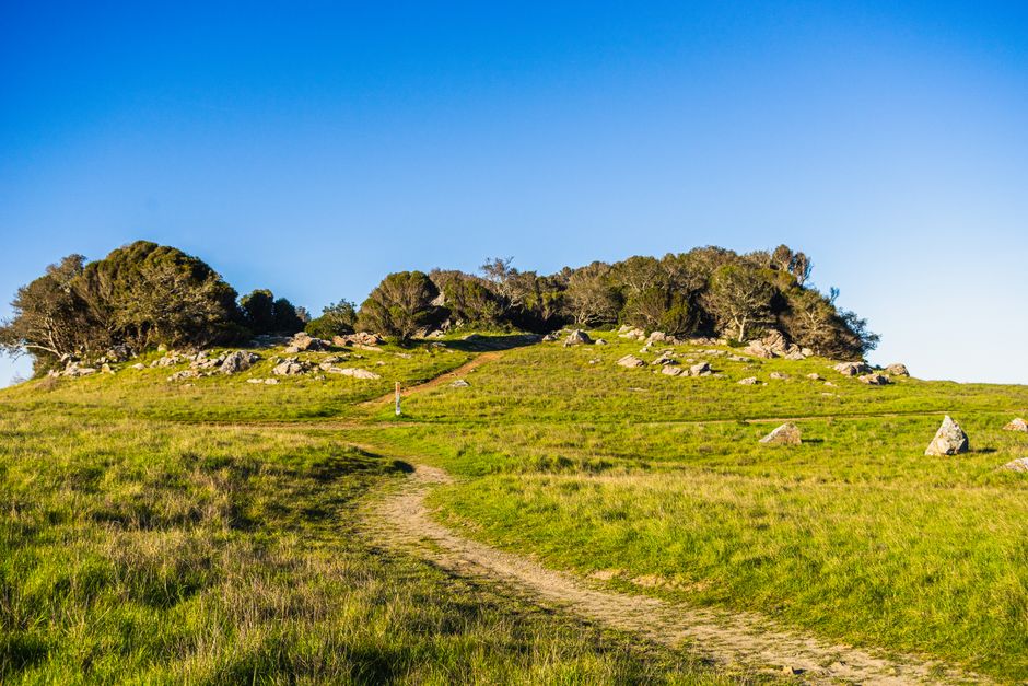 Hilltop Trail with a simple journaling cue — wellness · Walking & Outdoor