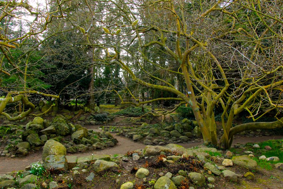 Botanical Garden Path with a simple walking loop — wellness · Walking & Outdoor