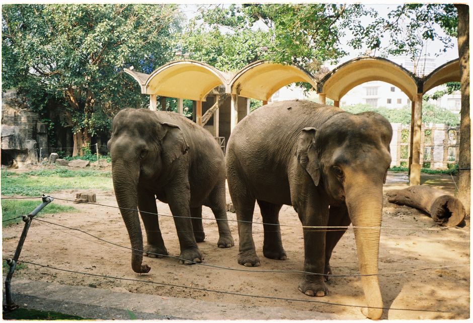 Zoo Morning near a public trail — travel · Family Travel