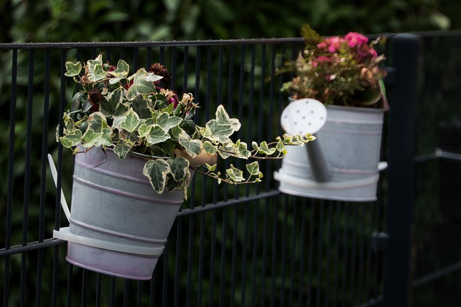 Container Garden using mixed wood tones — home · Garden & Outdoor