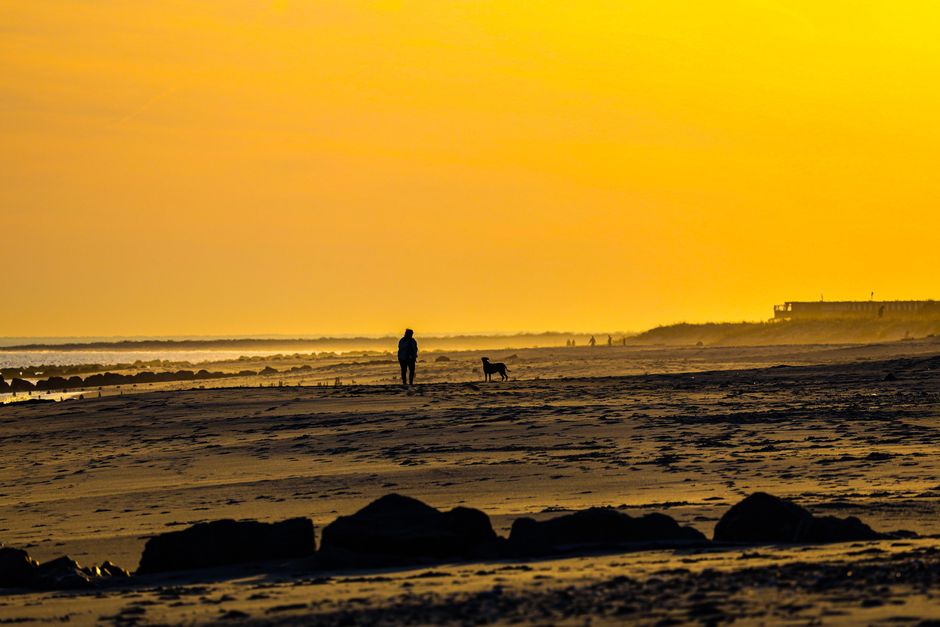 Beach Stroll with a sunlight habit — wellness · Walking & Outdoor