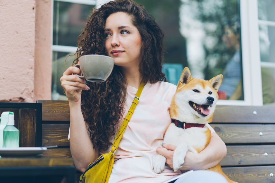 Pet-Play Break with a gentle stretch — wellness · Feel-Good Activities