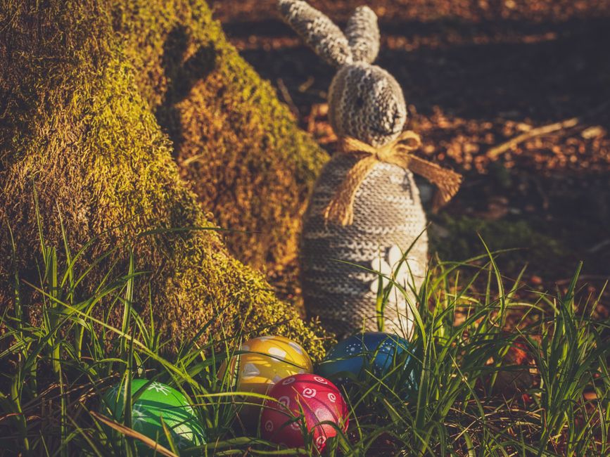 8 Garden Egg Hunt Ideas Beyond the Basic Search