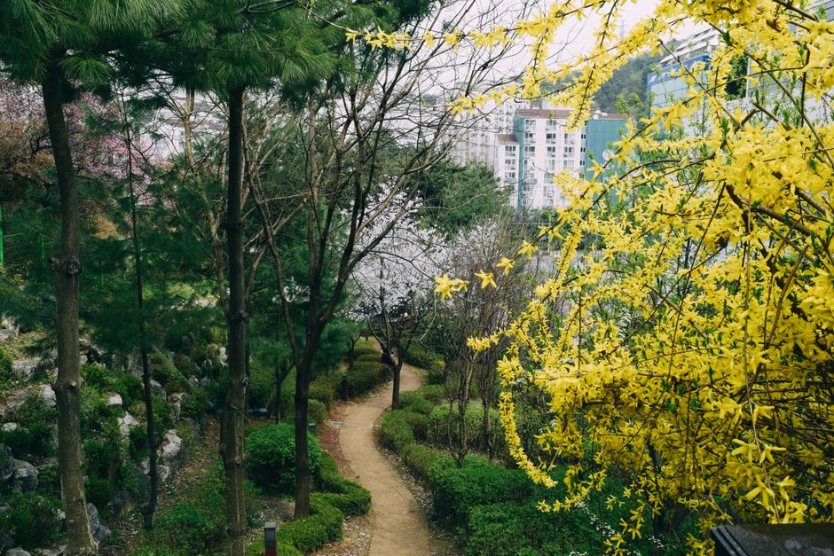 Botanical Garden Path during a workday lull — wellness · Walking & Outdoor
