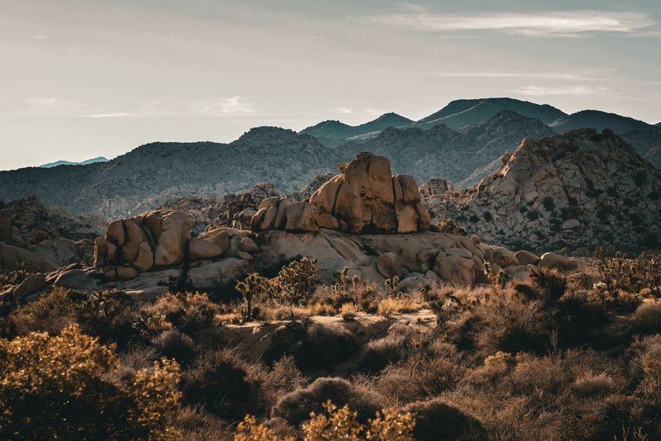 Joshua Tree Sunrise for a rainy-day backup — travel · USA Travel