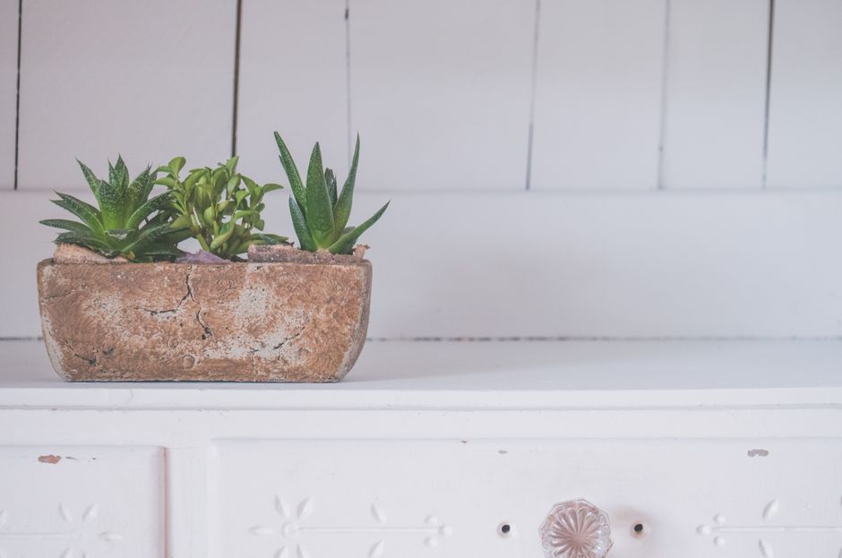 Drawer Planter — tin planter everyday using old photographs — diy-creativity · Upcycling