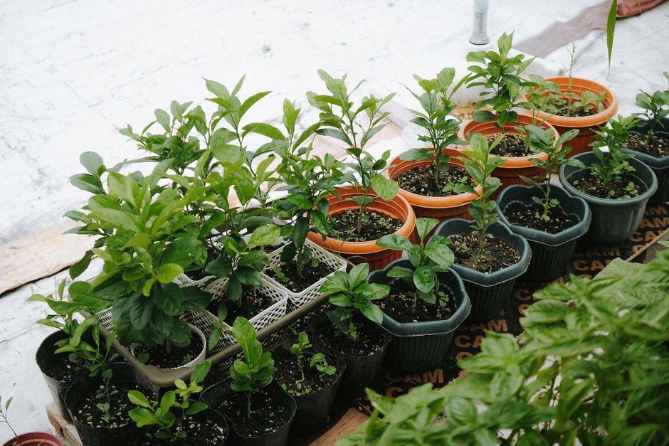 Herb Planter with a soft linen layer — home · Garden & Outdoor