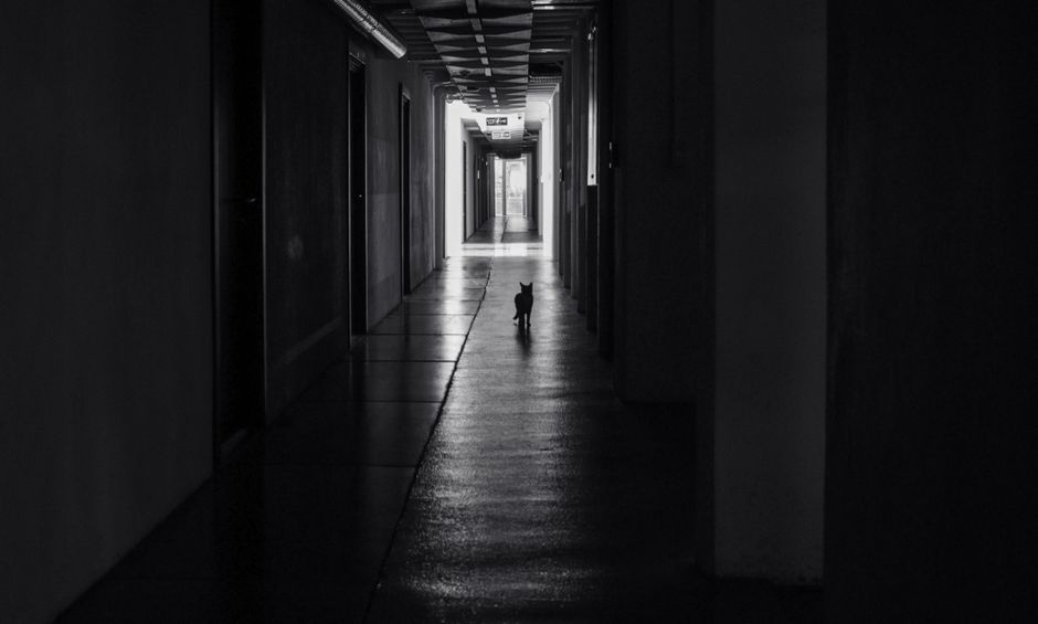 Haunted Hallway for an intimate celebration — celebrations · Halloween