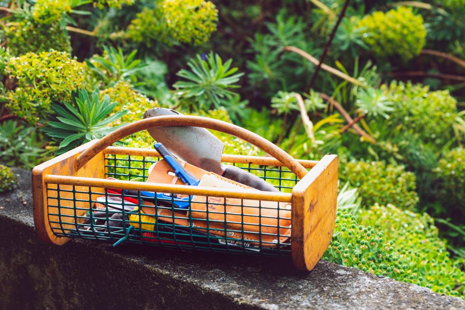 weekend garden & outdoor projects you can actually finish in a warm oak palette with layered natural textures — home · Garden & Outdoor