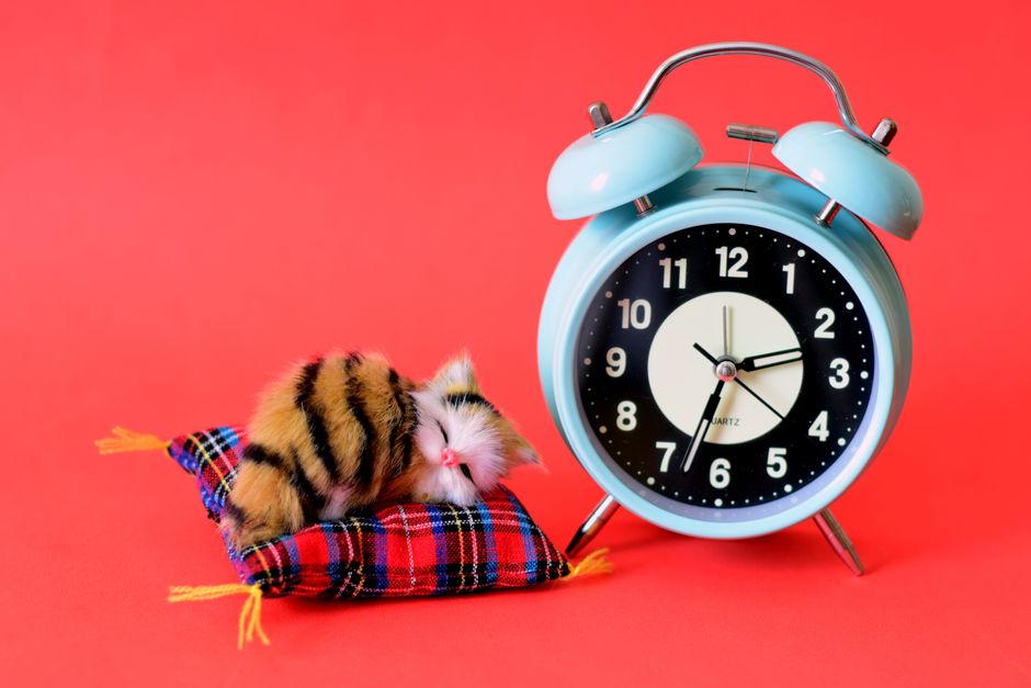 24 Consistent Wake Time ideas