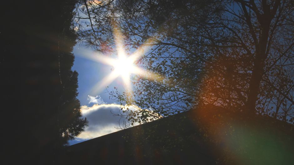 Sunlight-First Start with an easy wind-down — wellness · Morning Routines