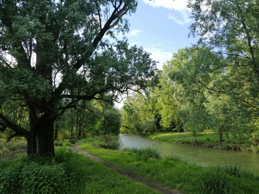 River Path for a gentle reset — wellness · Walking & Outdoor