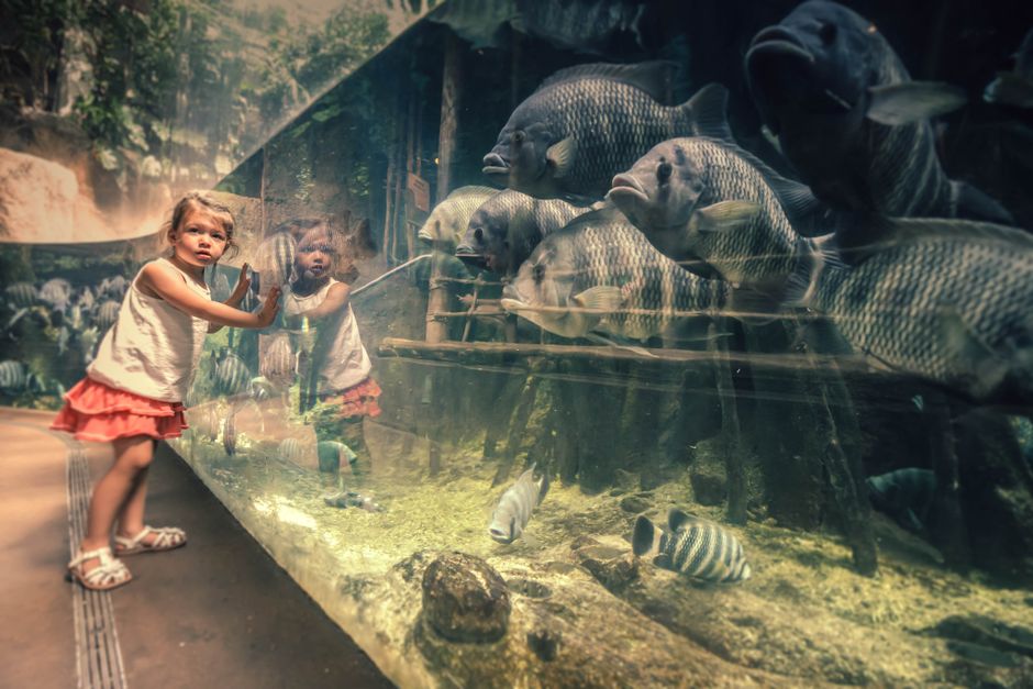 Kid-Friendly Museum with a practical parking plan — travel · Family Travel