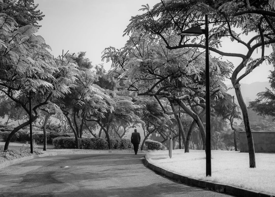 Quiet Walk for a confidence boost — lifestyle · Self-Care