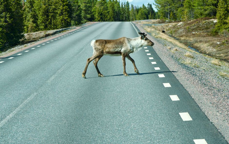 Scenic Byway with a photo-friendly pause — travel · Road Trips