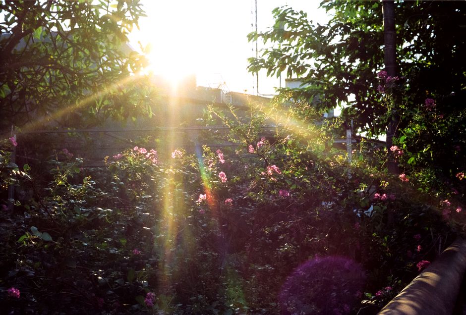 Sunlight-First Start with a gentle stretch — wellness · Morning Routines